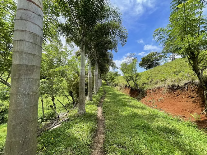 Venta de terreno en Nuevo Arenal con acceso al Lago y vista al Volcán