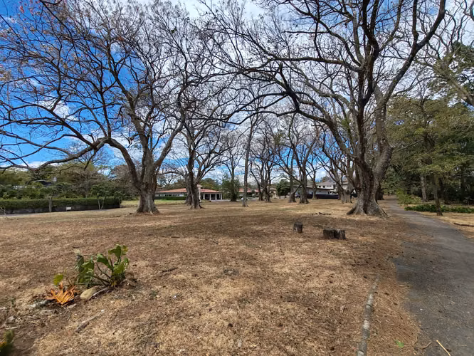 Venta de lote en Los Reyes, La Guacima de Alajuela.