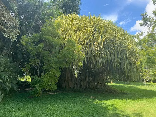 Orotina - Impresionante naturaleza - Ideal para el descanso o retiro
