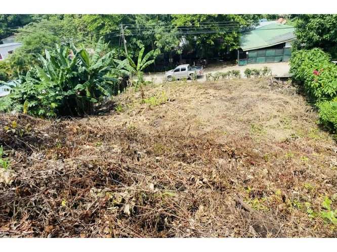 Lot with Ocean view,  Playa Ostional, Guanacaste, Costa Rica. - Imagen 7