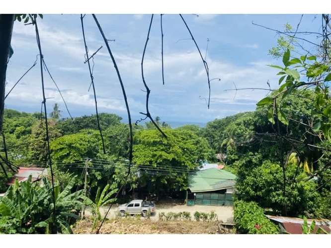 Lot with Ocean view,  Playa Ostional, Guanacaste, Costa Rica. - Imagen 9