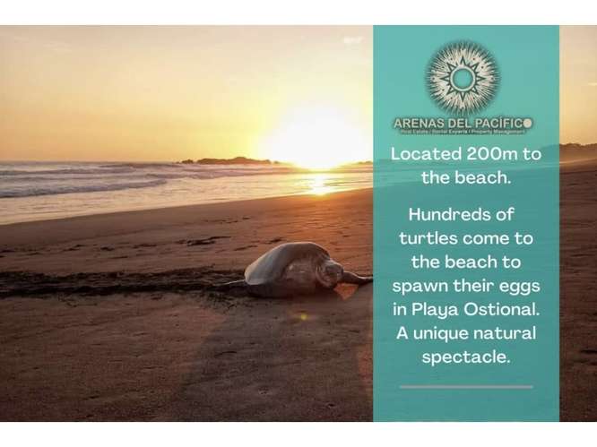 Lot with Ocean view,  Playa Ostional, Guanacaste, Costa Rica. - Imagen 8