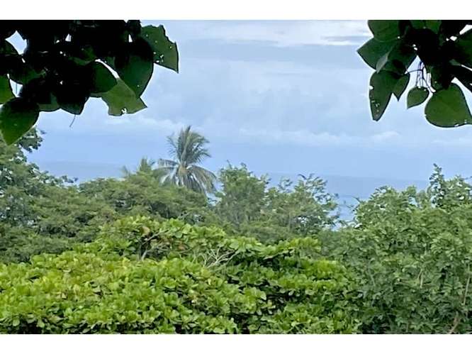Lot with Ocean view,  Playa Ostional, Guanacaste, Costa Rica. - Imagen 4
