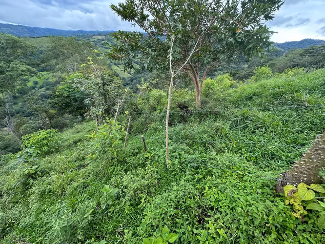 Oportunidad Se Vende Propiedad con Vista al Mar - Imagen 2