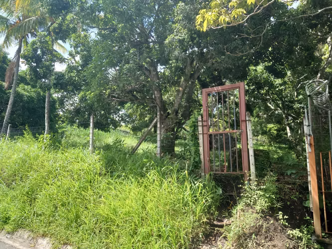 Lote 1216M2 Rio Oro Santa Ana - Imagen 6