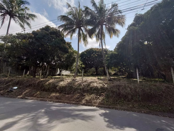 Lote 1216M2 Rio Oro Santa Ana - Imagen 12