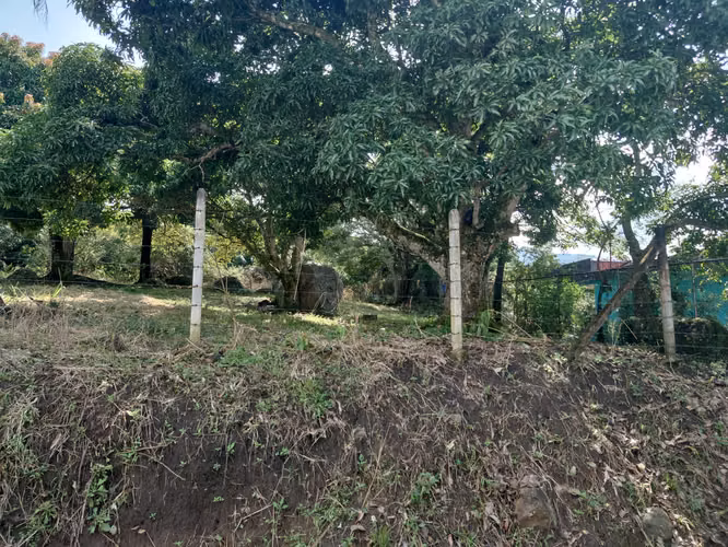 Lote 1216M2 Rio Oro Santa Ana - Imagen 2