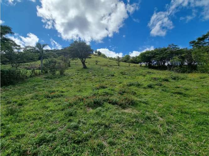 Venta de terrenos en Santa Elena de Monteverde - Imagen 15