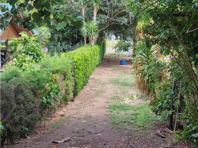 Venta de terrenos en Santa Elena de Monteverde - Imagen 9
