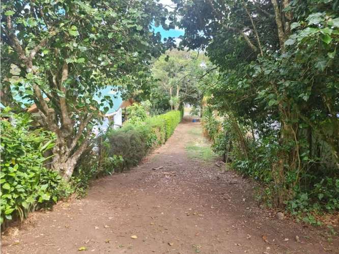 Venta de terrenos en Santa Elena de Monteverde - Imagen 17