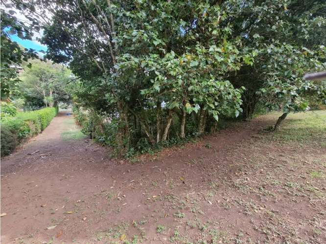 Venta de terrenos en Santa Elena de Monteverde - Imagen 8