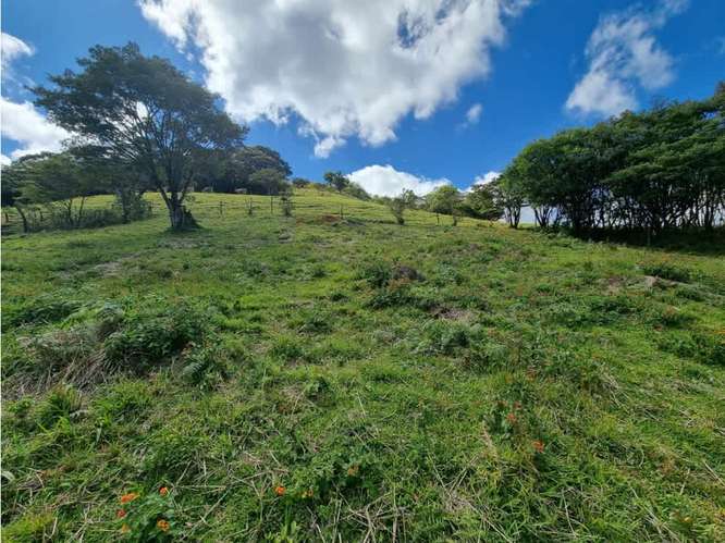 Venta de terrenos en Santa Elena de Monteverde - Imagen 10