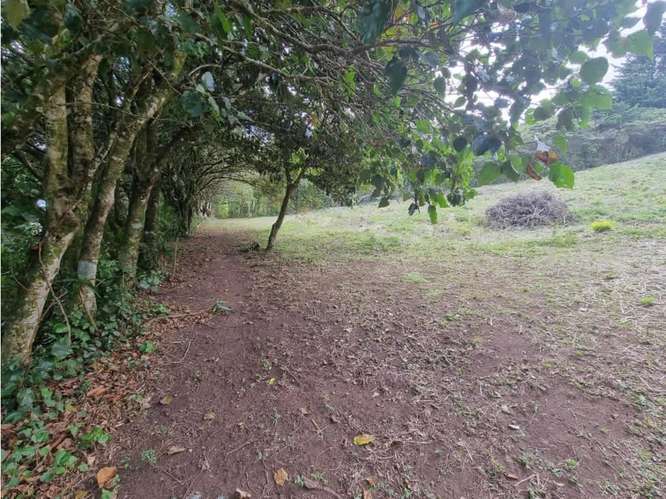 Venta de terrenos en Santa Elena de Monteverde - Imagen 13