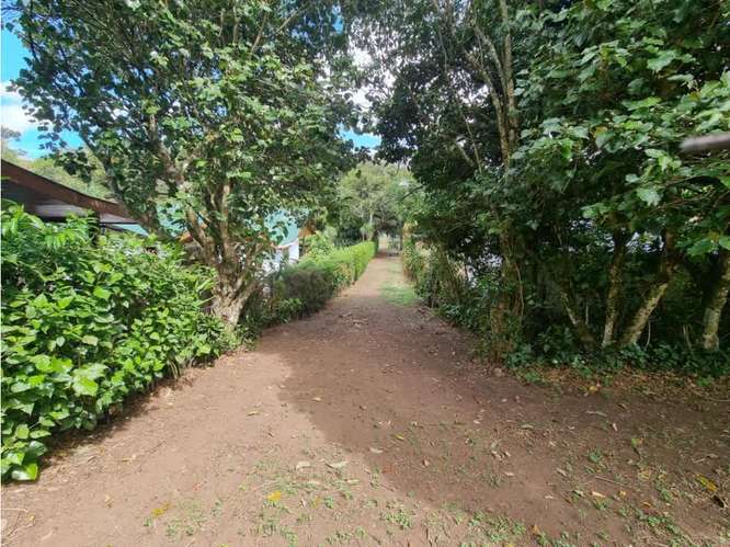 Venta de terrenos en Santa Elena de Monteverde - Imagen 5