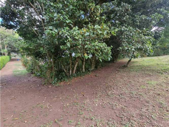 Venta de terrenos en Santa Elena de Monteverde - Imagen 7