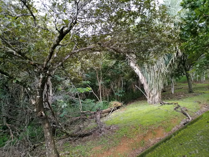 SE VENDE Quinta en Turrubares | La Posada Del Sol