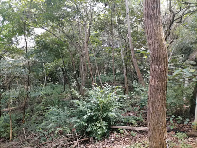 SE VENDE Quinta en Turrubares | La Posada Del Sol