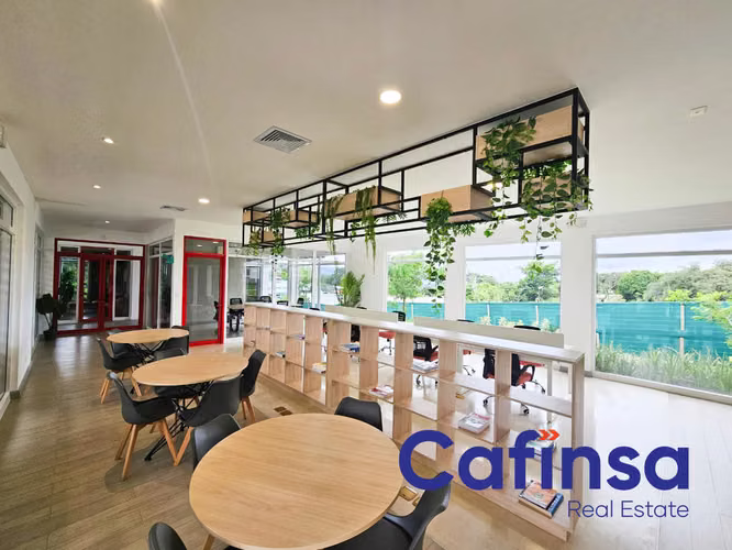 ¡Estrena tu nuevo hogar!  Apartamento de 2 habitaciones,Alquiler,Concasa - Imagen 16