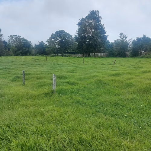 Finca en venta en Fraijanes, topografía plana, ideal para desarrollo - Imagen 4