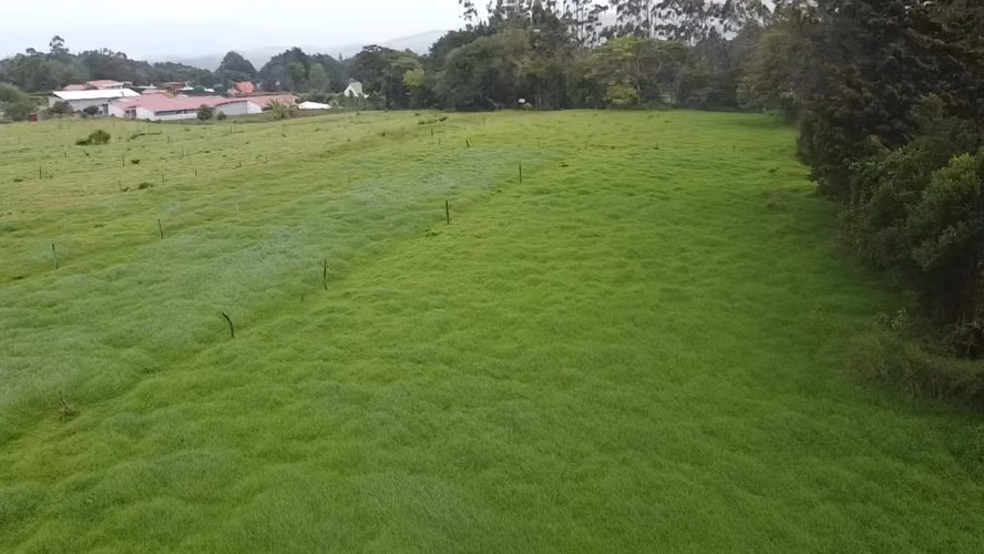 Finca en venta en Fraijanes, topografía plana, ideal para desarrollo - Imagen 3