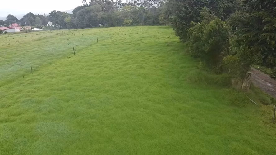 Finca en venta en Fraijanes, topografía plana, ideal para desarrollo - Imagen 15