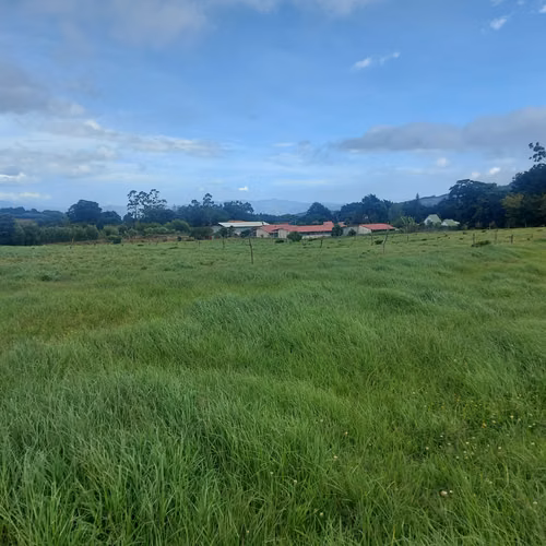 Finca en venta en Fraijanes, topografía plana, ideal para desarrollo - Imagen 5