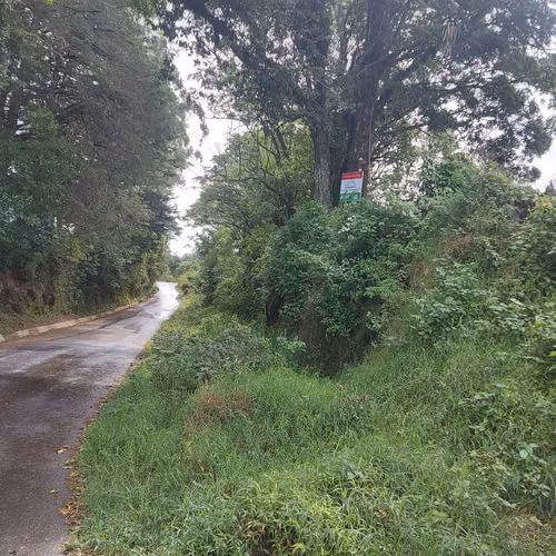Finca en venta en Fraijanes, topografía plana, ideal para desarrollo - Imagen 7