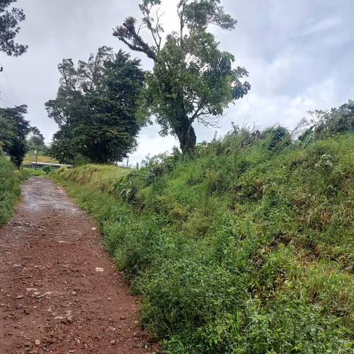 Finca en venta en Fraijanes, topografía plana, ideal para desarrollo - Imagen 11