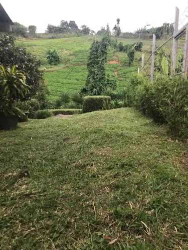 Venta Escazú, San Antonio, 1.600m2 de terreno - Imagen 4