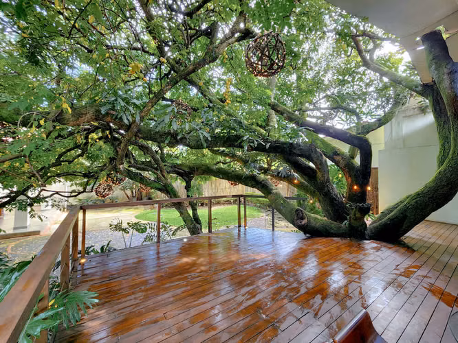 Enchanted Terrace