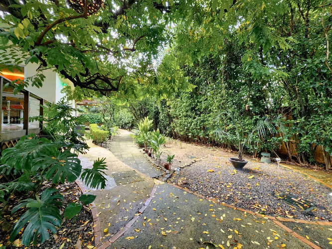 Enchanted Terrace