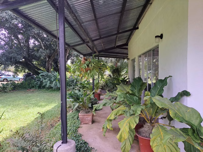 Venta de propiedad de 2 hectáreas con 2 casas - Imagen 4
