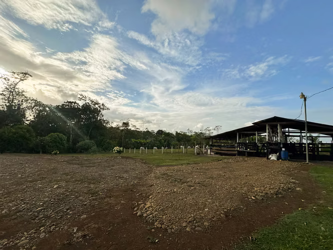 Finca Ganadera y de Inversión de 15 Hectáreas | Naciente de Agua | San Carlos