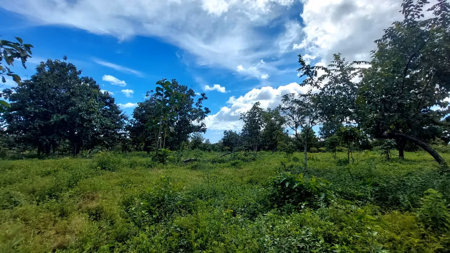 Finca de 8.8 ha Puntarenas 400m Interamericana
