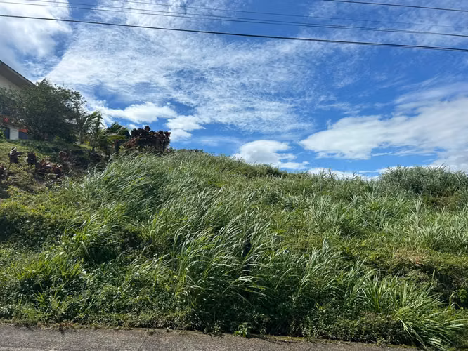 450 Lote en La LLanada Ciudad Quesada San Carlos