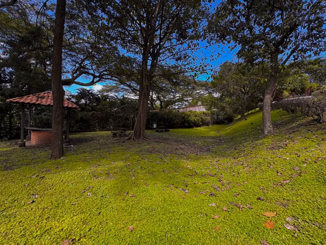 SE ALQUILA CASA TIPO HACIENDA EN ALTO DE LAS PALOMAS, SANTA ANA - Imagen 7