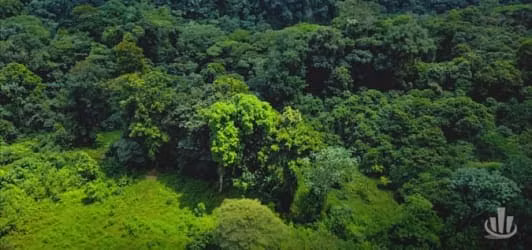 Finca en venta Pococí de Limón