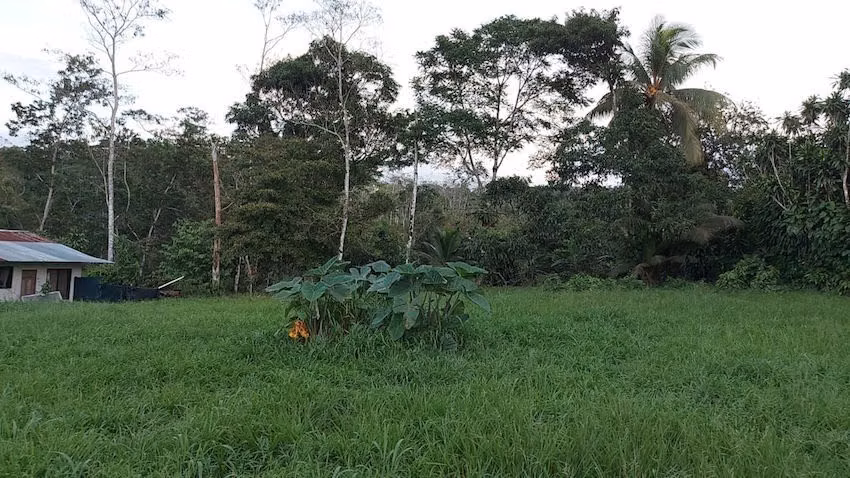 Lote 1344 m2 en Florencia, Ciudad Quesada, San Carlos - Imagen 7