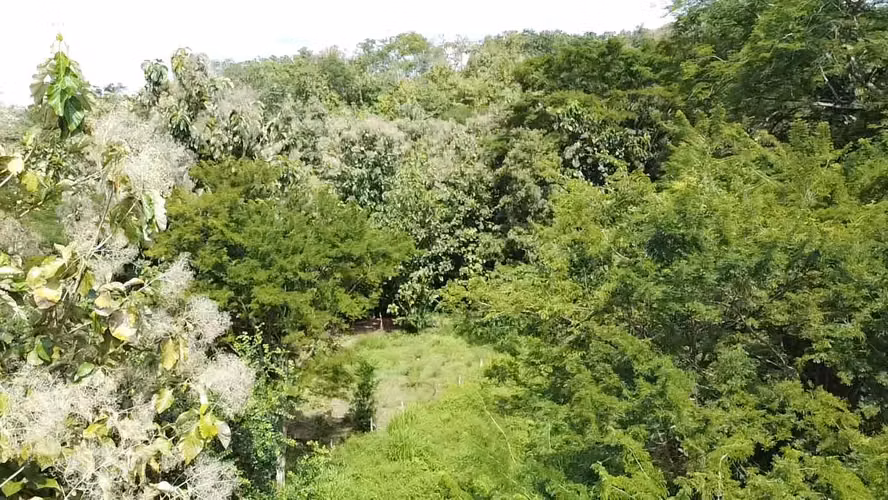 Se vende lote en Rio Grande de Paquera, Puntarenas