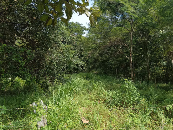 Se vende lote en Rio Grande de Paquera, Puntarenas