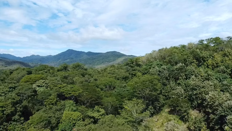 Se vende lote en Rio Grande de Paquera, Puntarenas