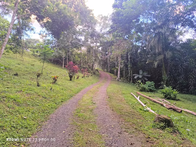 Finca en venta en San Carlos, con casa y apartamento, con bosque y riachuelo - Imagen 8