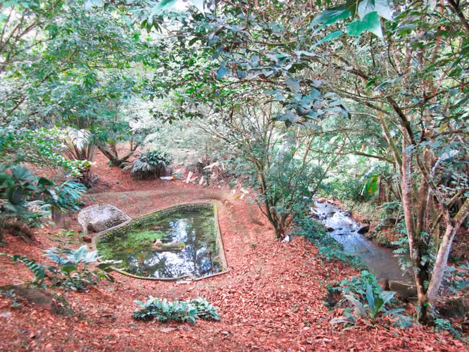 Finca en venta en San Carlos, con casa y apartamento, con bosque y riachuelo - Imagen 5
