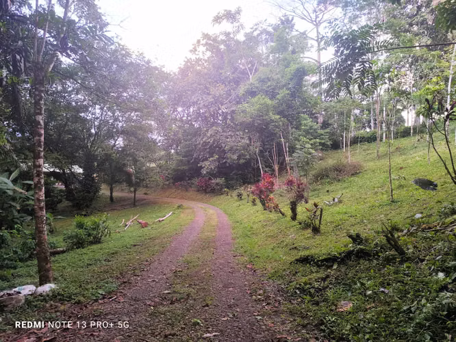 Finca en venta en San Carlos, con casa y apartamento, con bosque y riachuelo - Imagen 18
