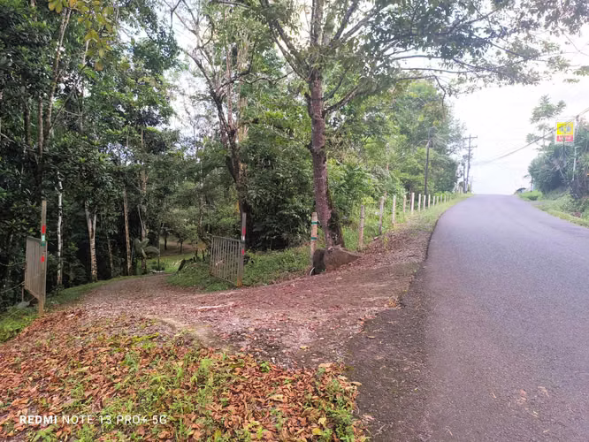 Finca en venta en San Carlos, con casa y apartamento, con bosque y riachuelo - Imagen 17