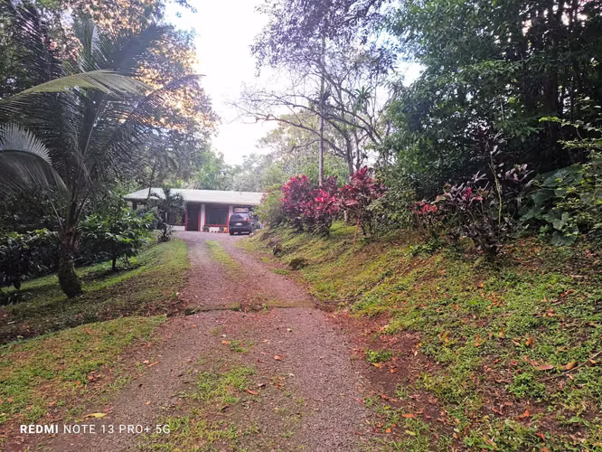 Finca en venta en San Carlos, con casa y apartamento, con bosque y riachuelo - Imagen 6