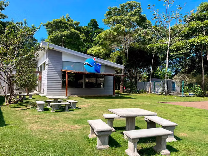 Espectacular lote listo para construir en Punta Leona condominio Bambú - Imagen 11