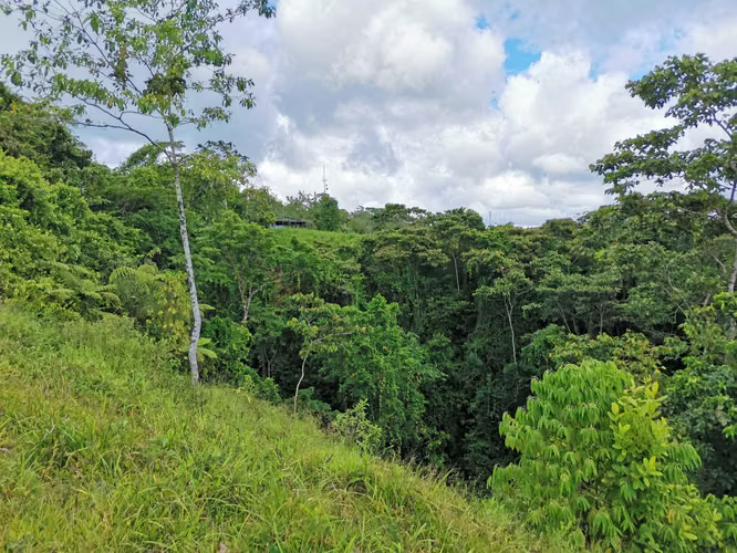 Finca en Venta en San Carlos, vistas al Volcán, cerca de La Fortuna - Imagen 20