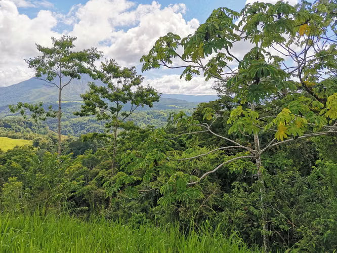 Finca en Venta en San Carlos, vistas al Volcán, cerca de La Fortuna - Imagen 13