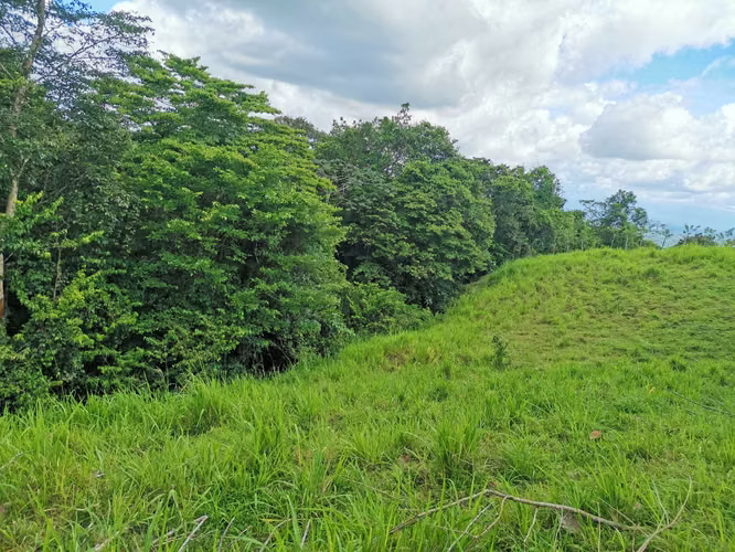 Finca en Venta en San Carlos, vistas al Volcán, cerca de La Fortuna - Imagen 7